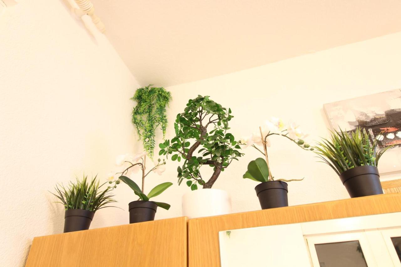 Downtown Apartments Ulm - Im Herzen Von Ulm & Komfortable Boxspringbetten ภายนอก รูปภาพ